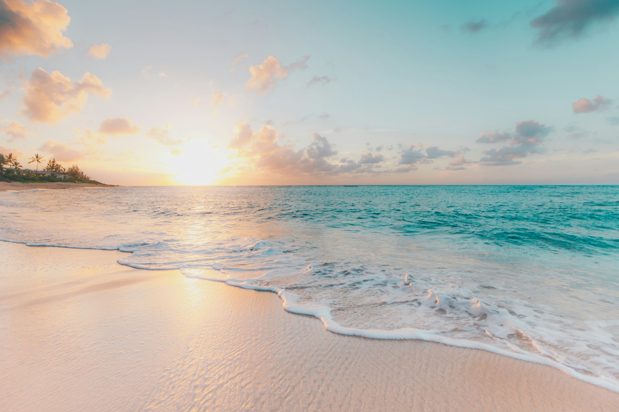 Wellness Retreat in Sri Lanka: Where Ancient Wisdom Meets Modern Science